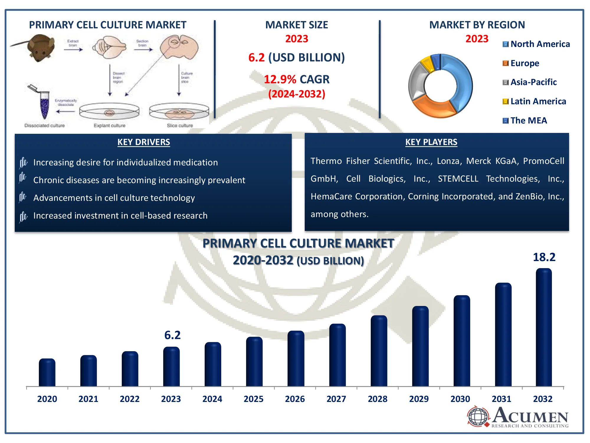 Primary Cell Culture Market Size Primary Cell Culture Market Dynamics
