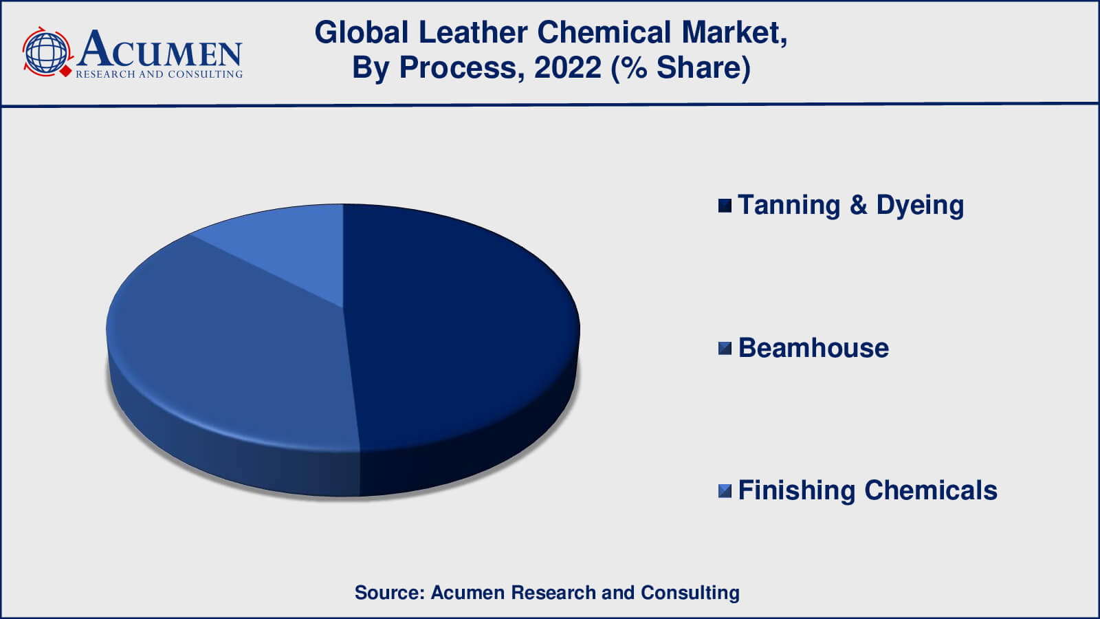 Leather Chemical Market Share