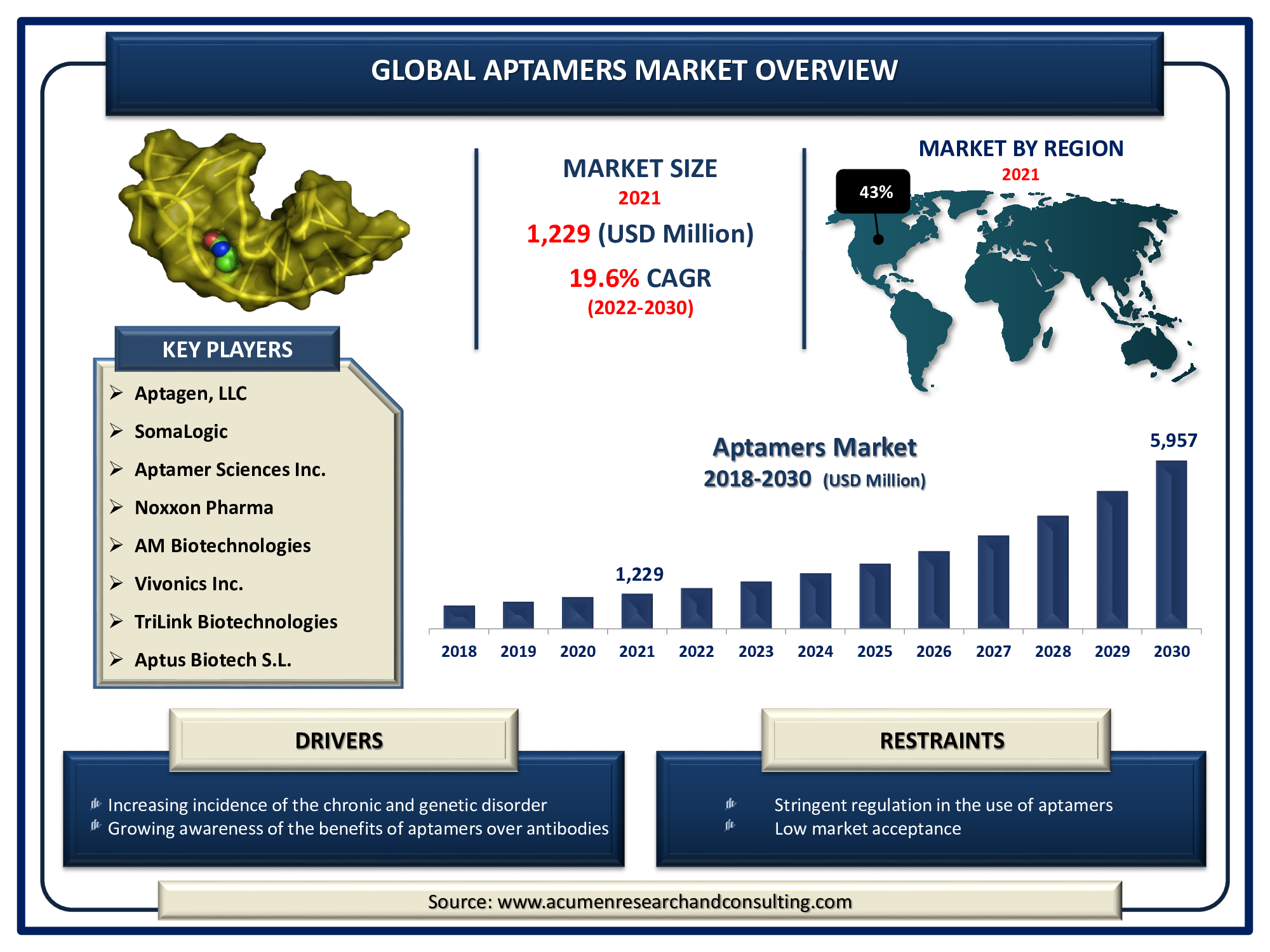 Aptamers Market size accounted for USD 1,229 Million in 2021 and is expected to reach the value of USD 5,957 Million by 2030 at a CAGR of 19.6% during the forecast period from 2022 to 2030.