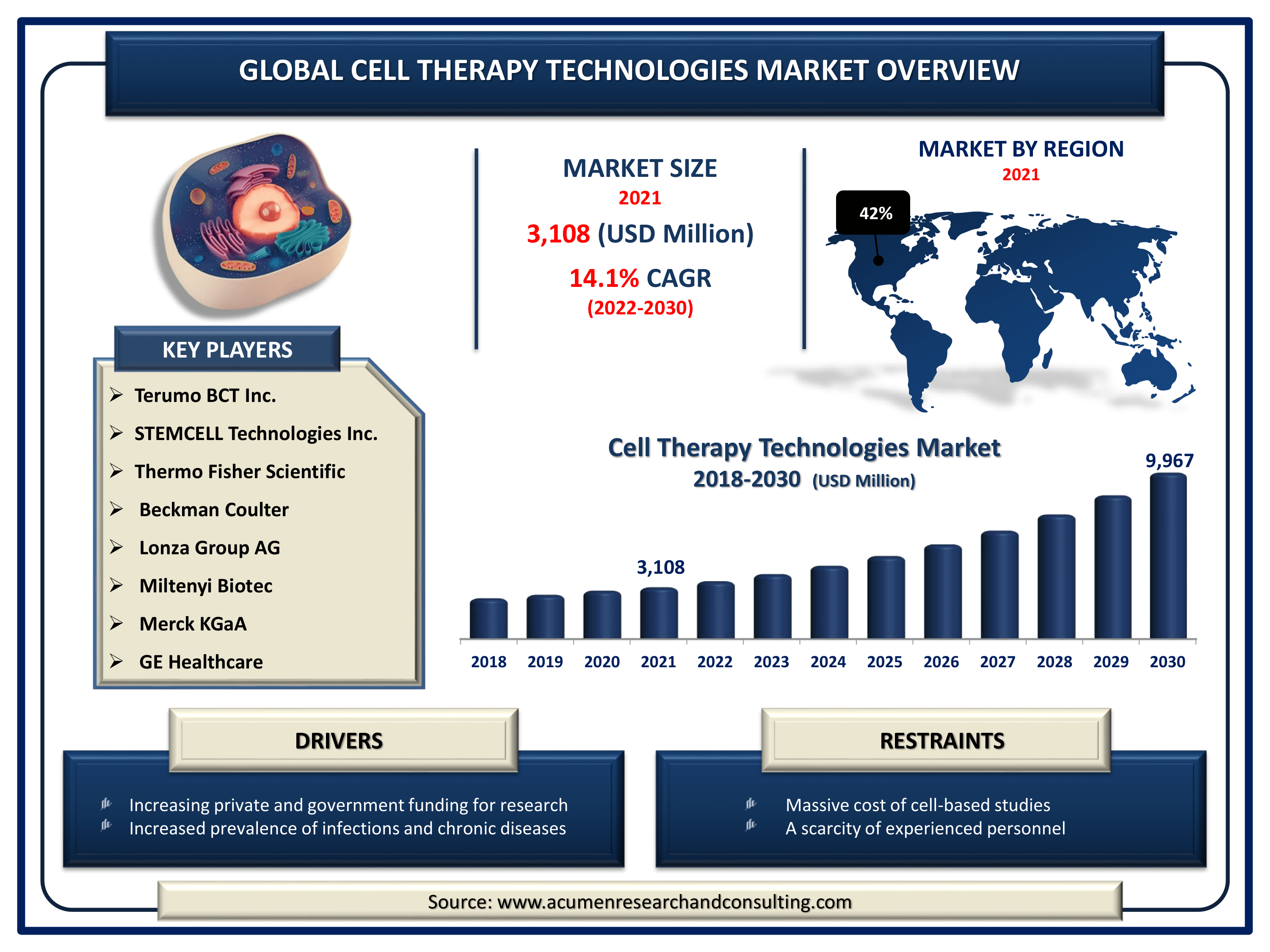 Cell Therapy Technologies Market Size, Share | Industry Growth - 2030