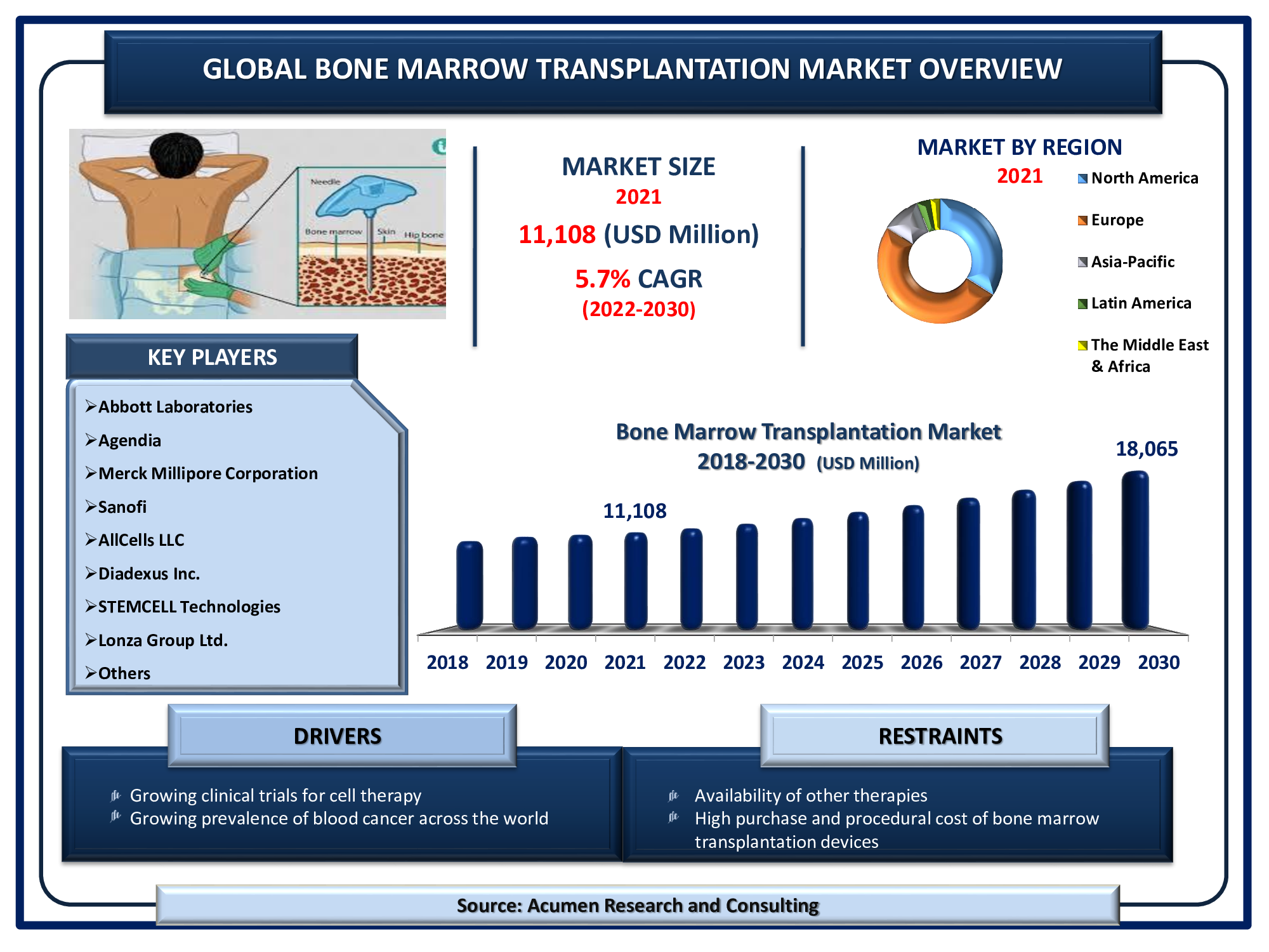Bone Marrow Transplantation Market Size, Share | Industry Growth - 2030