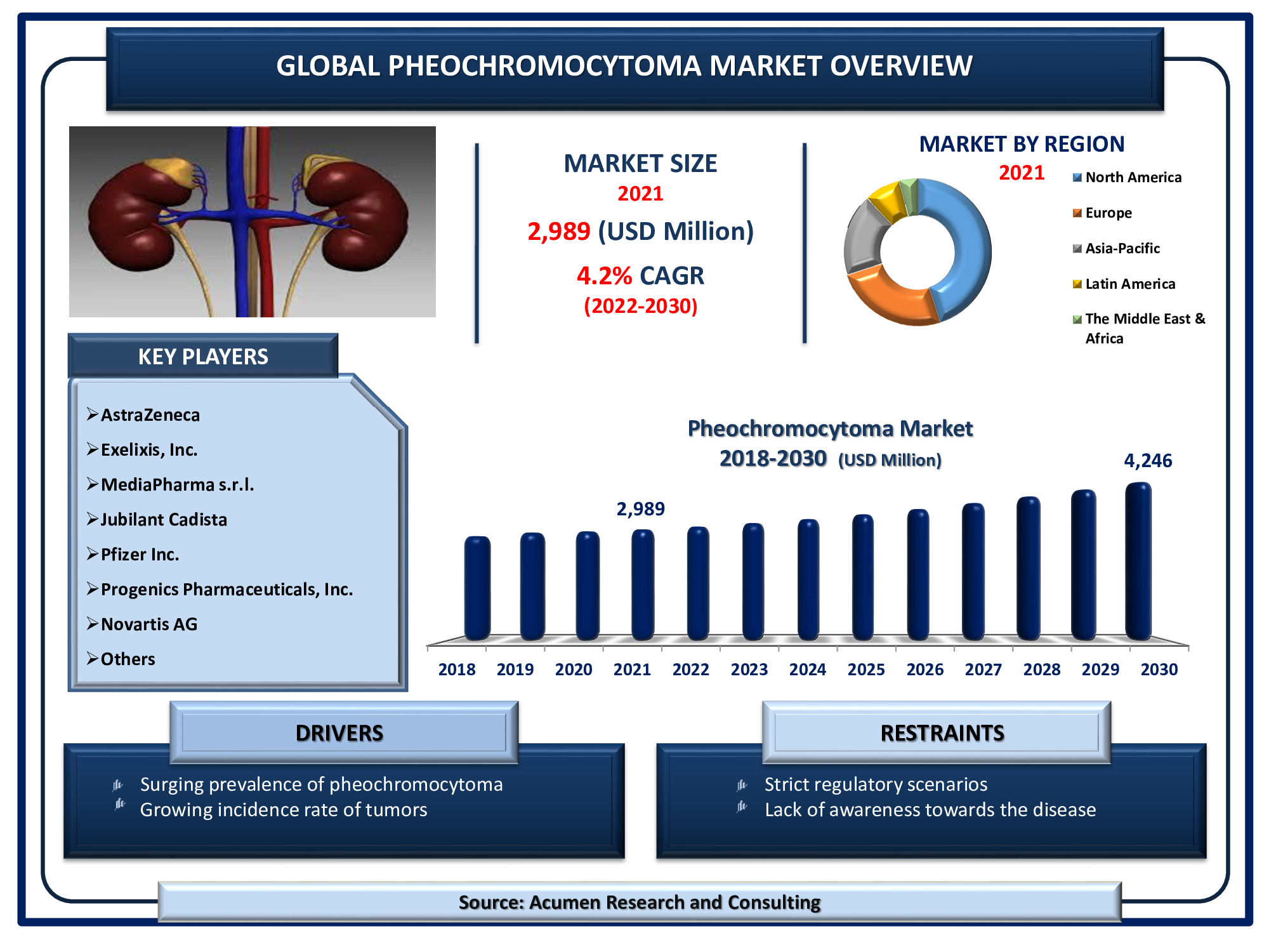 Pheochromocytoma Market will achieve a market size of USD 4,246 Million by 2030, budding at a CAGR of 4.2%