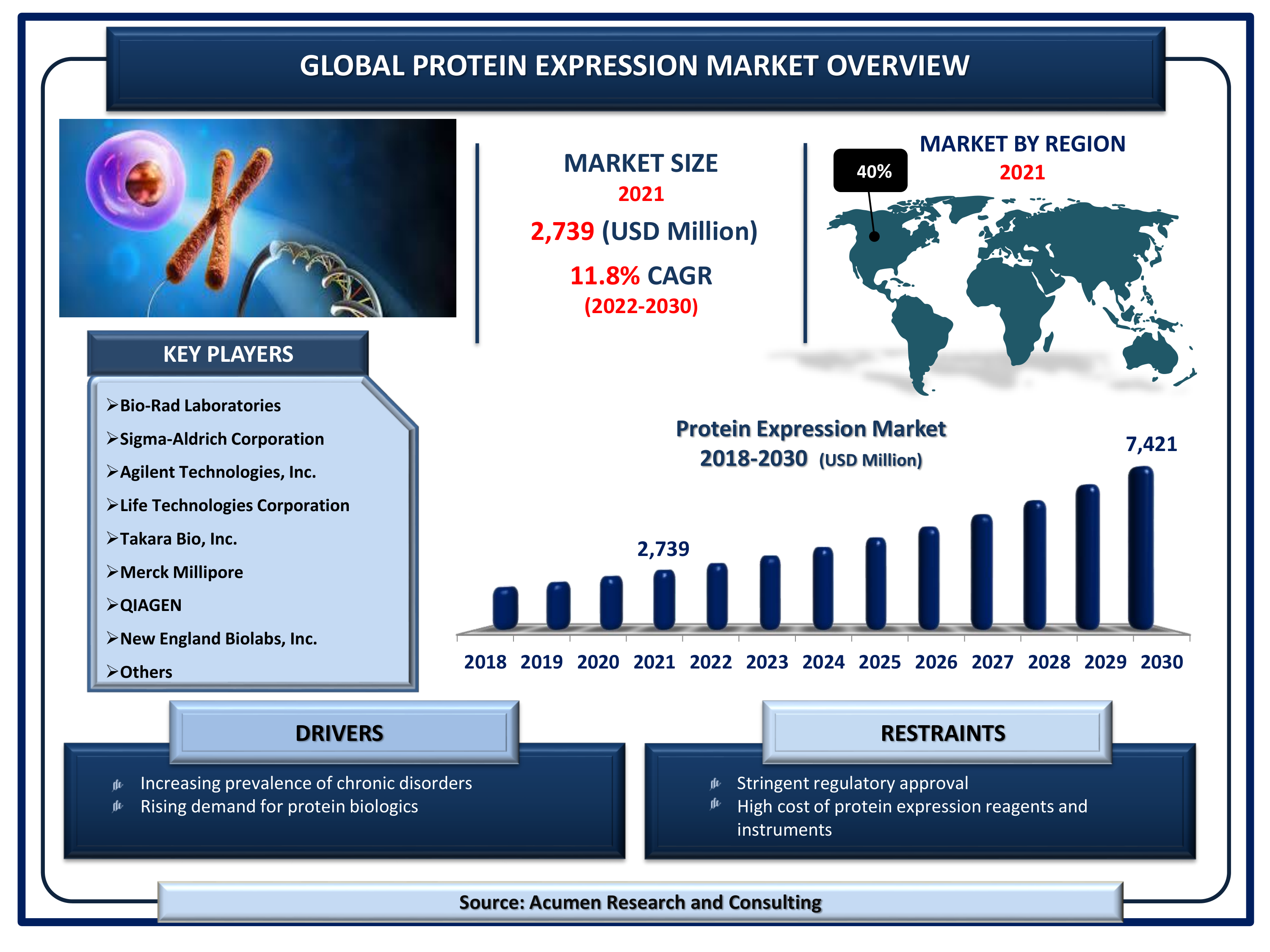 The Global Protein Expression Market Size is valued at USD 2,739 million in 2021 and is estimated to achieve a market size of USD 7,421 million by 2030; growing at a CAGR of 11.8%.
